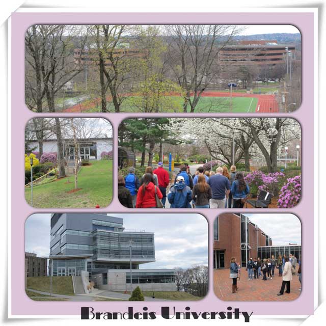 Brandeis_University