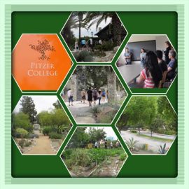 Pitzer-College