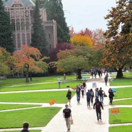 University-of-Washington_1170